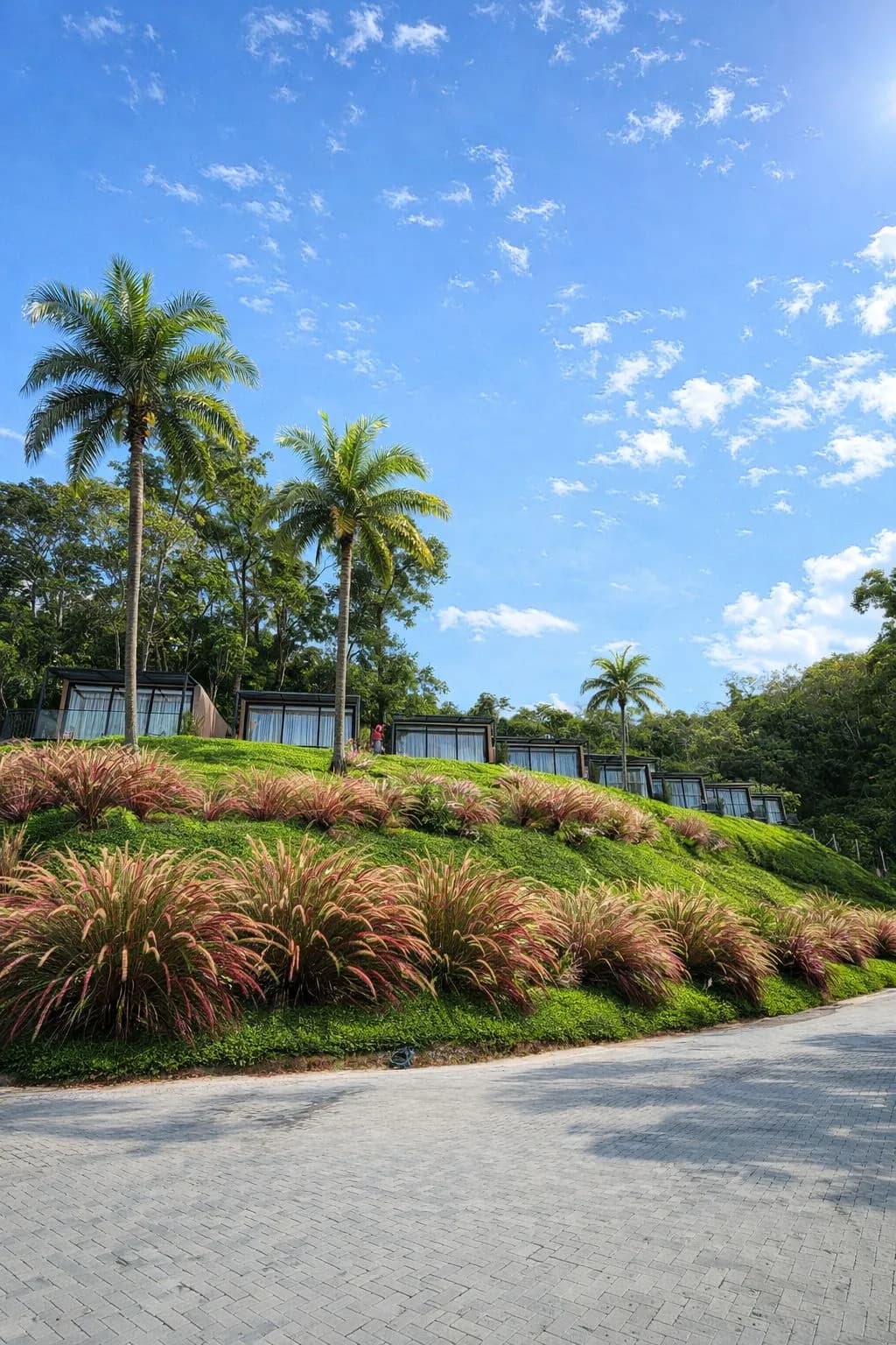 Chalés de hospedagem da Vila Don Patto implantados na paisagem ajardinada